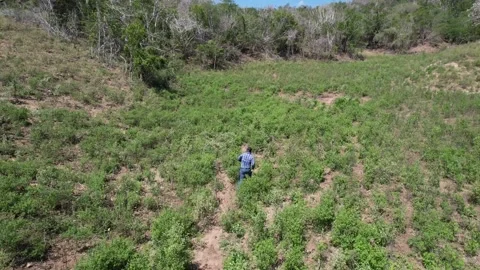 Drone tracking of men working in open field Stock Footage 234956313