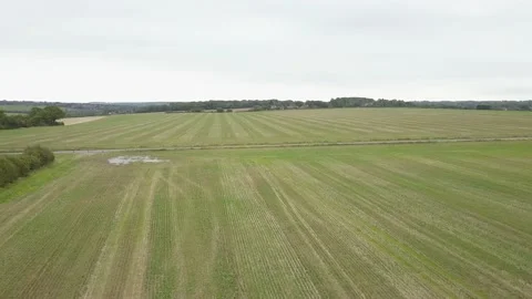 Drone tracking a moving car Stock Footage 147514922