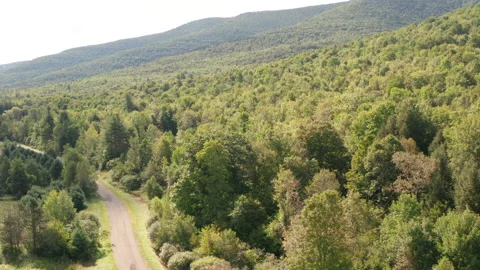 Drone tracking over empty country road and trees in catskills, new york Stock Footage 140773234
