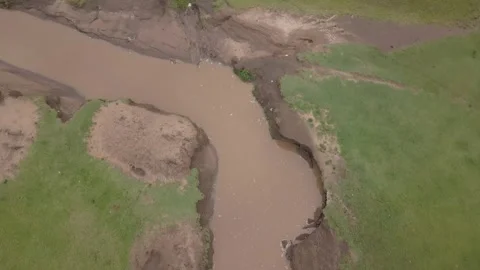 Drone tracking over a muddy steam in the Serengeti at magic hour Vídeos de archivo 249348940