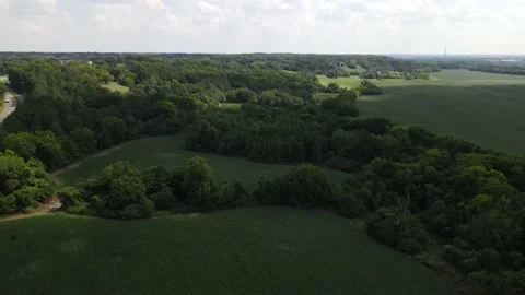 Drone: Tracking over soybean fields Stock Footage 205578959