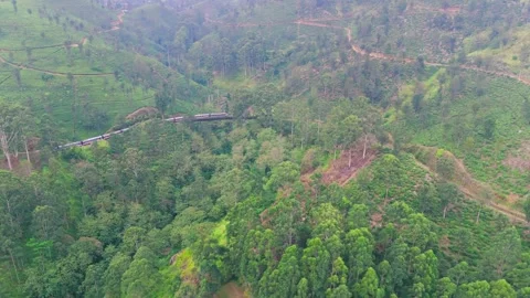 Drone Tracking Right of Train Through Trees and Tea Estate to Iron Bridge Stock Footage 321606811