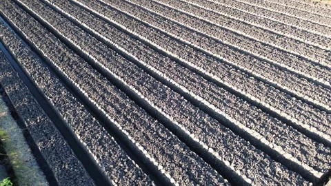 Drone Tracking Shot Above Prepared Agricultural Land Stock Footage 337362946