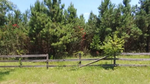 Drone tracking shot along an old wood fence next to a wooded area 스톡 동영상 91218927
