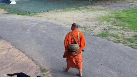 Drone tracking shot of a Buddhist monk carrying an alms bowl walking barefeet Stock Footage 336297505