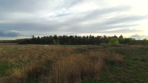 Drone tracking shot flying forward over a wild country meadow and pond Stock Footage 341816496