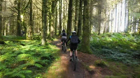 Drone Tracking Shot of a Group Of Mountain Bikers in the Forest 動画素材 221266514