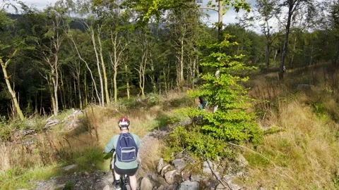 Drone Tracking Shot of Mountain Biker in the Woods 5 動画素材 221268182
