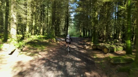 Drone Tracking Shot of Mountain Biker in the Woods 動画素材 221268477