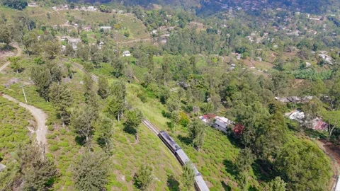 Drone Tracking Shot of  Train Moving Through Green Lands Stock Footage 325328323