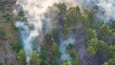 Drone tracking smoke from burning forest near NH44 highway in India. Stock-Footage 337615042