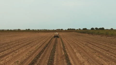 DRONE ON TRACTOR FARMING Stock Footage 306694912