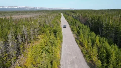 Drone Trail Over Newfoundland Forest Video stock 253407847