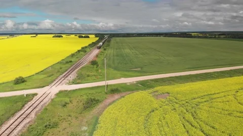 Drone, train, rail line, aerial, canola, yellow, farm, farming, agriculture, agr Stock Footage 135704822
