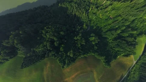 Drone Transition from Fields and Forest to Danube Valley Panorama Austria Stock-Footage 345011854