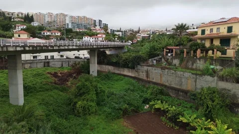 Drone transition from fields to urban area, Funchal, Madeira Stock Footage 300062229