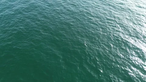 Drone Transitioning from Horizon to Bird's Eye View Over Ocean, Miami Stock Footage 341834256