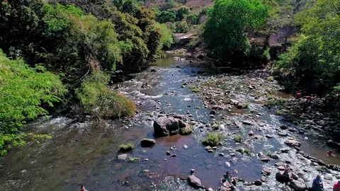 Drone travel over a river with forest in central america Stock Footage 101313268