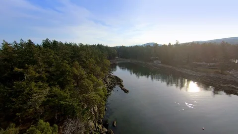 Drone Tree Crash Outdoor Forest, Professional Upset Sadness Close Call Branch Stock Footage 107389043