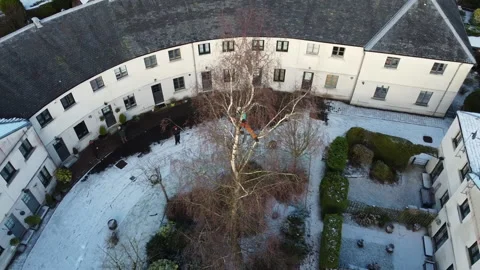 Drone Tree Surgery and Tree Cutting Safely Stock Footage 153875128