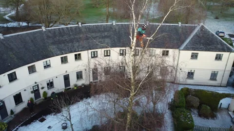 Drone Tree Surgery and Tree Cutting Safely Stock Footage 153875968