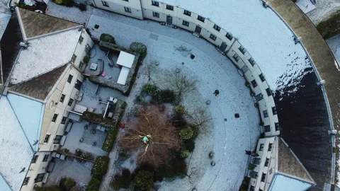 Drone Tree Surgery and Tree Cutting Safely Stock Footage 153877939