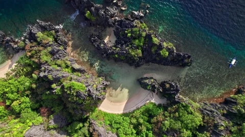 Drone Of Trees, Cliffs And Coastline On Island Stock Footage 193960774
