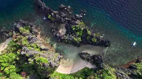 Drone Of Trees, Cliffs And Coastline On Island Stock Footage 193961204