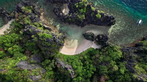 Drone Of Trees, Cliffs And Coastline On Island Stock Footage 193962608