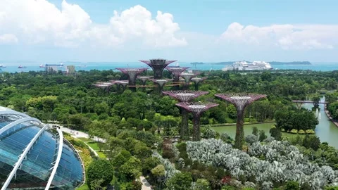 Drone - Trees in Gardens by the bay Stock Footage 153504894