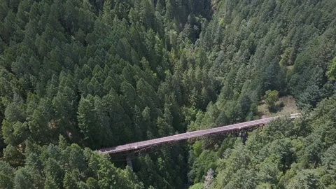 Drone of Trestle Abandoned Train Bridge in GoldStream Park Vancouver Island Stock Footage 92821889