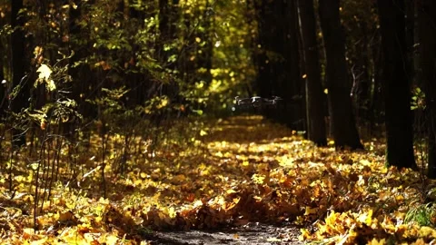 Drone turbulence Stock Footage 162756785