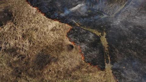 Drone turn. The burning texture of dry grass with smoke. Fires the summer Stock Footage 105008257