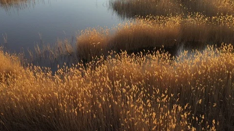 Drone turn slide forward small ripple on the surface of the water of the lake Stock Footage 106375728