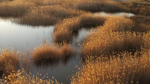 Drone turn slide forward on a small ripple surface of the water of the lake Stock Footage 106375746