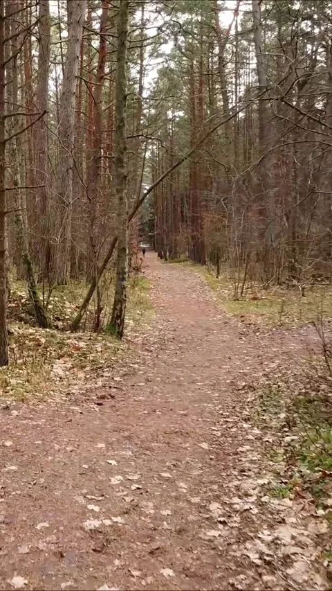Drone turning in a forest trail, Vertical 9:16. Stock Footage 322022007