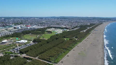 Drone turning over pine forest and town at Kugenuma Beach Shonan Video stock 348393060