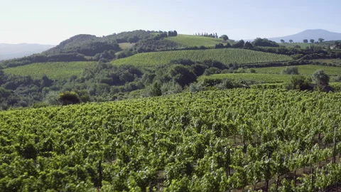 DRONE TUSCANY 02 Stock Footage 133316987