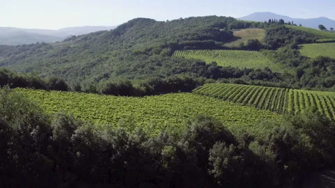 DRONE TUSCANY 03 Stock Footage 133317869