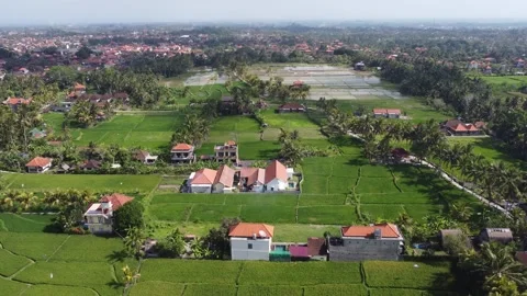Drone of Ubud rice fields and homes - Bali, Indonesia Stock Footage 264770879
