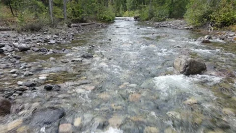 Drone Upstream Stock Footage 145742400