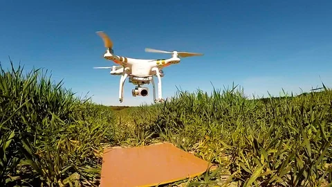 The drone use for inspect of crop on wheat fields. Stock Footage 89506641
