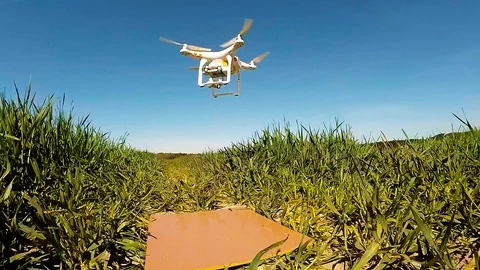 The drone use for inspect of crop on wheat fields. Stock Footage 89509477