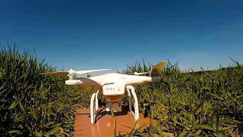 The drone use for inspect of crop on wheat fields. Stock Footage 89509867