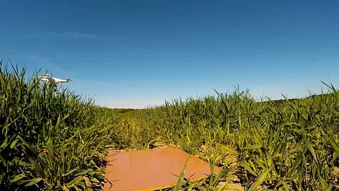 The drone use for inspect of crop on wheat fields. Stock Footage 89510165