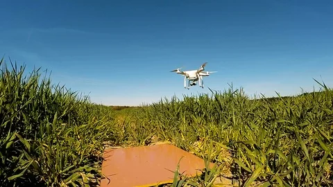 The drone use for inspect of crop on wheat fields. Stock Footage 89510583
