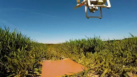 The drone use for inspect of crop on wheat fields. Stock Footage 89510964