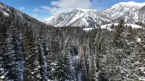 Drone Utah Mountain Snow Stock Footage 219348222