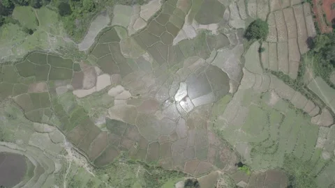 Drone vertical tilt down  Video stock 238610658