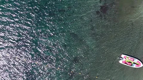 Drone Vertical Tracking Top Down Over Beach Shoreline, Wooden Pier and Crys.. Vídeos de archivo 339252255